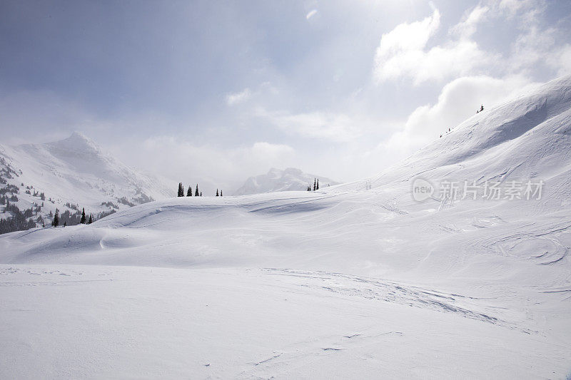 雪山和山脉的风景