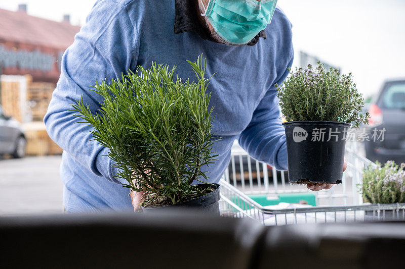 戴着外科口罩包装食品和在汽车后备箱里种植超市的植物