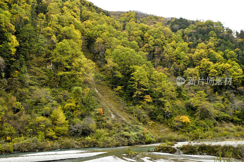 青城山