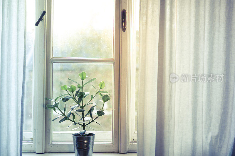 公寓里的窗户，花盆里的花