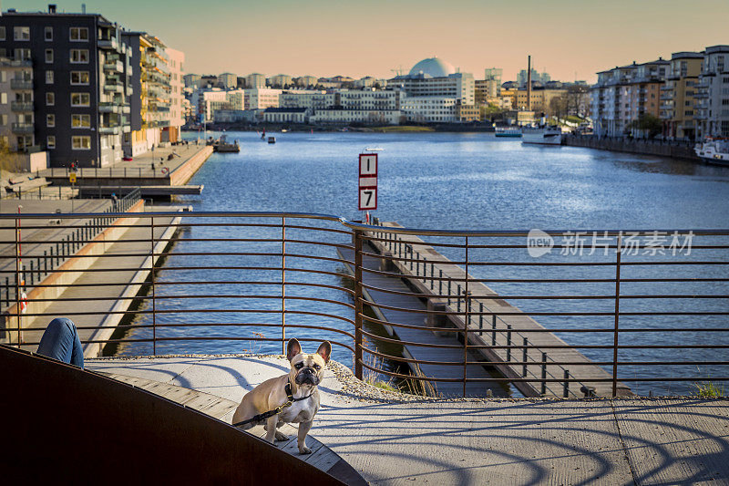 斯德哥尔摩Hammarby