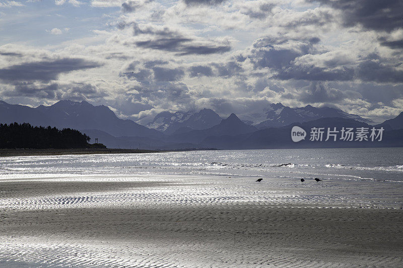 阿拉斯加海岸的海滩，面向太阳