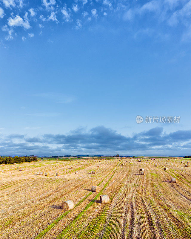 这是苏格兰西南部邓弗里斯和加洛韦的田野里，一群刚割下的稻草的嗡嗡声所拍摄的垂直全景