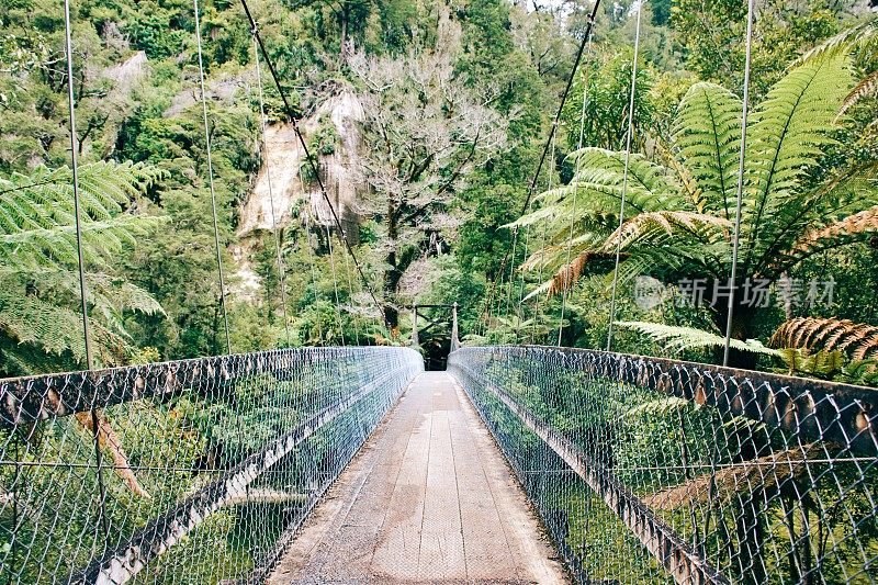 查尔斯顿摇摆桥，新西兰Paparoa国家公园