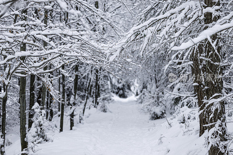 美丽的雪山冬季景观