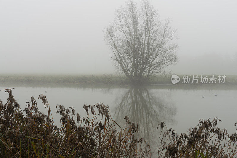 大乌斯河发生洪水