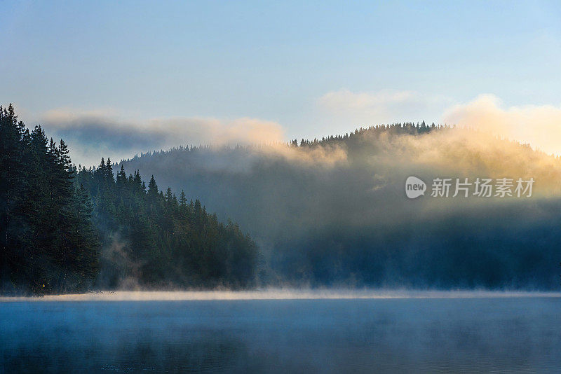 晨雾笼罩着一个美丽的湖，周围是松树林的照片