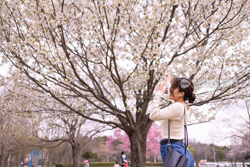 年轻女子在公园的樱花下跳舞