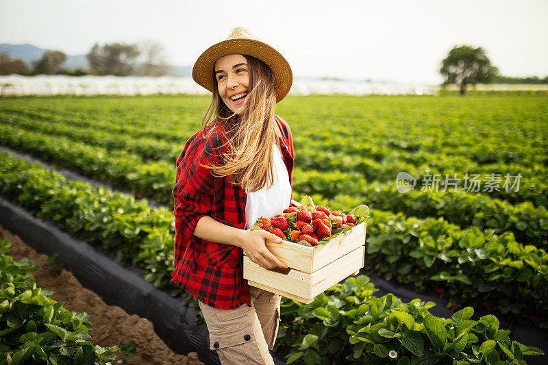 年轻漂亮的女人拿着一个装满草莓的篮子