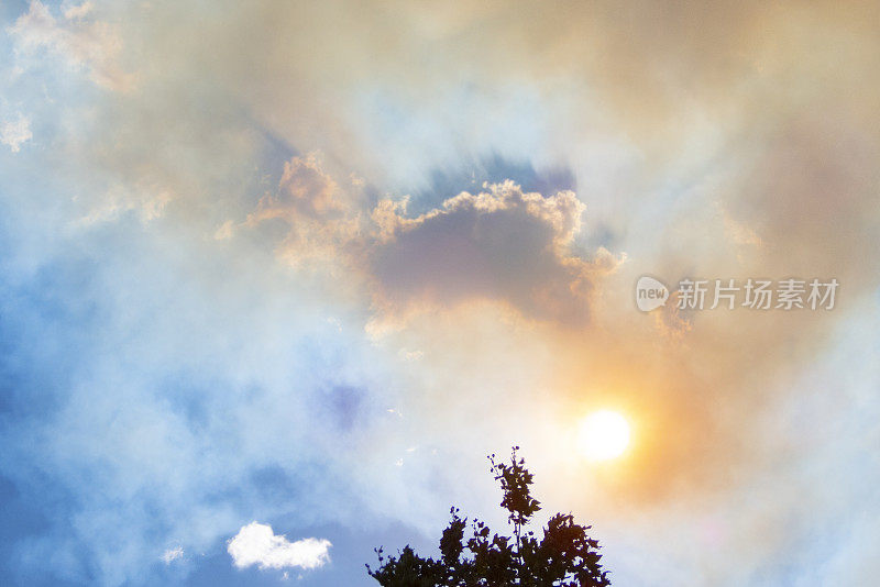 森林里有火，天空中有烟