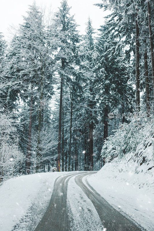 森林雪道