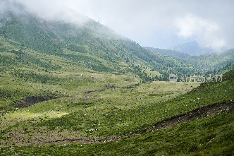 雾中的高山峡谷