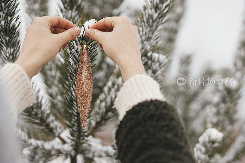 手在舒适的毛衣拿时尚的装饰背景松树树枝在雪。在户外装饰圣诞树。为农村的寒假做准备。圣诞快乐!