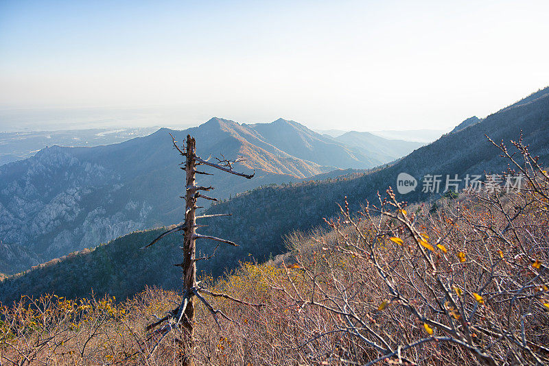 在山顶的早晨