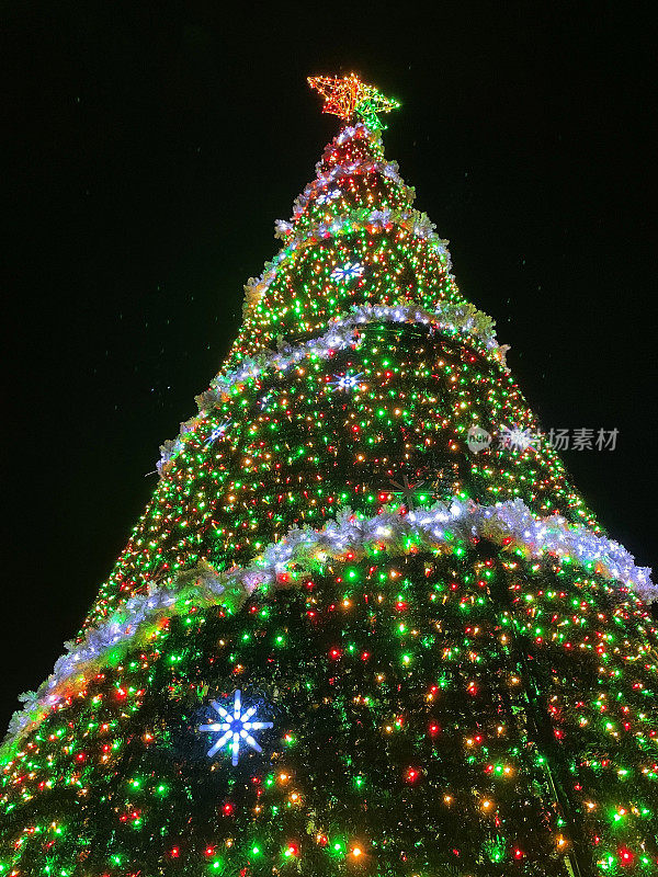 夜晚，金色的LED星状顶饰在大型户外圣诞树上，树上装饰着红色、黄色和绿色的仙女灯装饰，从下面看，黑暗的天空