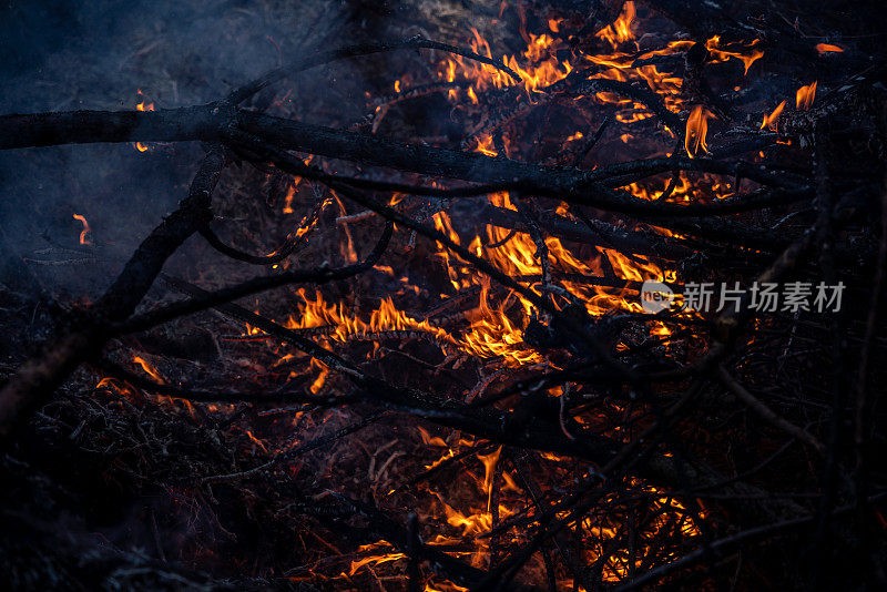 森林大火，特写