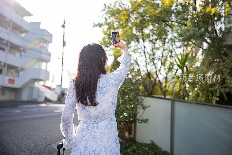 年轻女子在城市拍摄含羞草花的照片