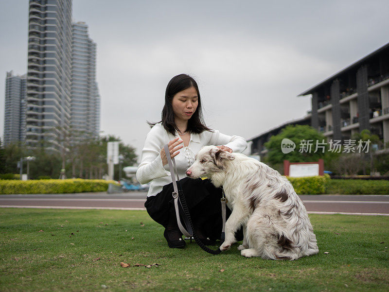 一名妇女在户外与柯利牧羊犬玩耍