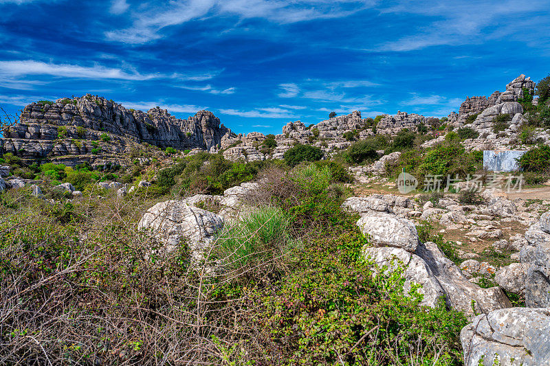 安达卢西亚托卡尔德安特奎拉的喀斯特景观。有地中海植被的大山谷，周围是垂直的石灰岩岩壁