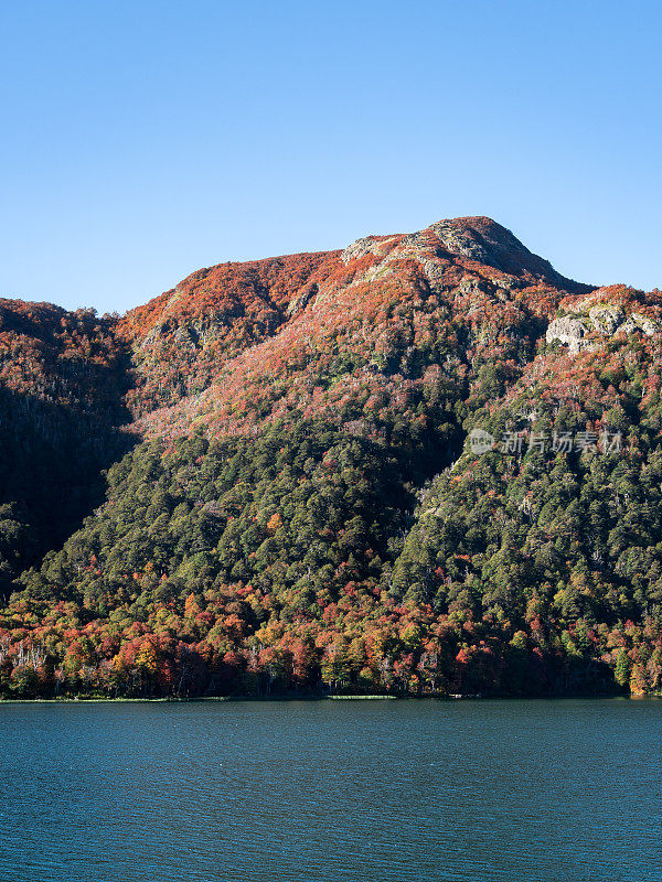 湖岸边被秋天的森林覆盖的山