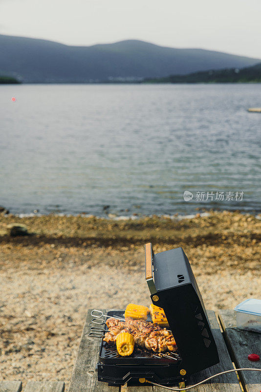 在夏季与风景秀丽的湖景户外烧烤