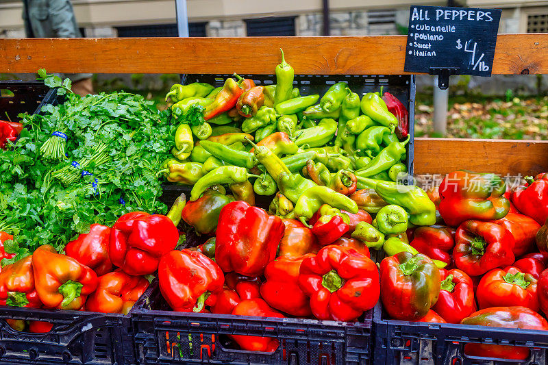 农贸市场的香菜，绿色古巴辣椒和红色灯笼椒