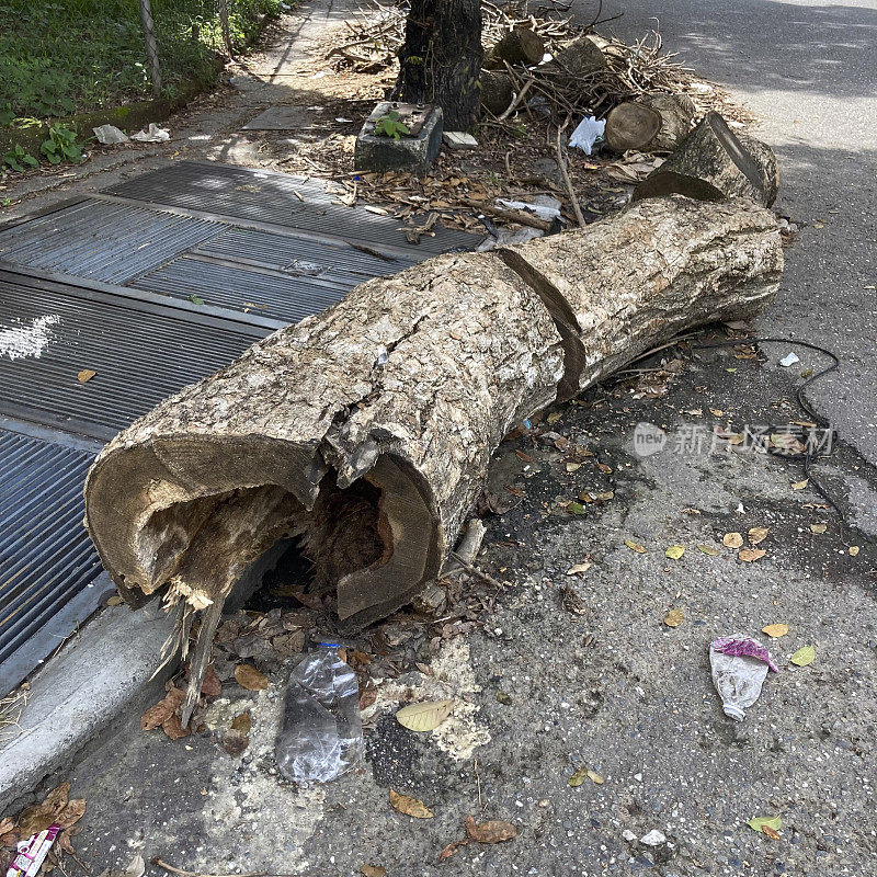 街上的树干和垃圾