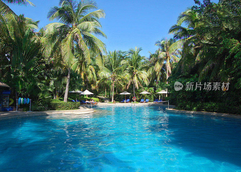中国饭店的游泳池里有棕榈树