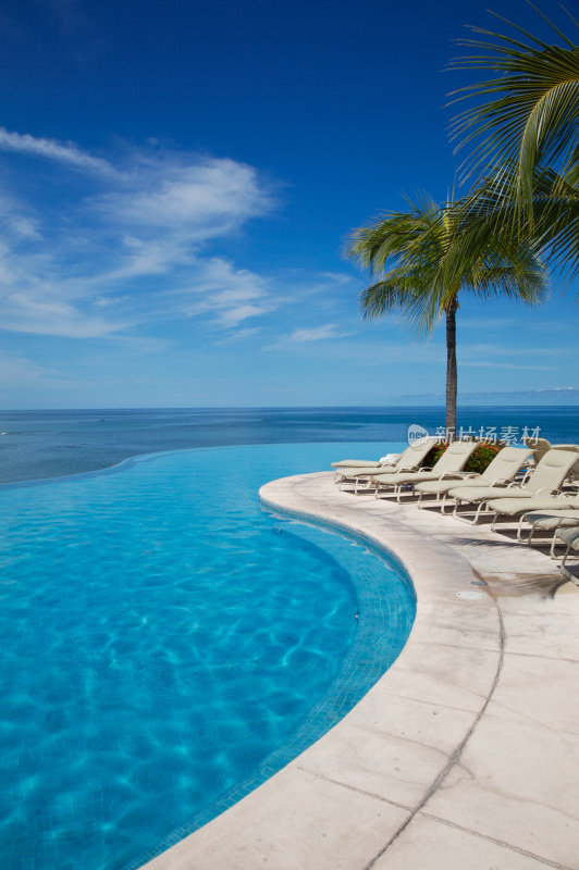 空游泳池旁边的白色日光躺椅和棕榈树