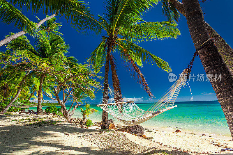 斐济，棕榈树树荫下的空吊床