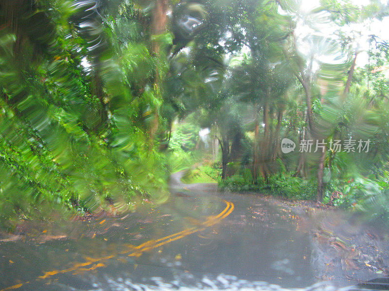 开车穿过夏威夷热带雨林的树木