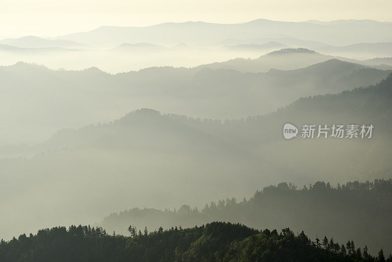 日出时从勒孔特山看到的层层迷雾山脉