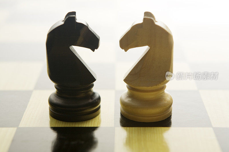 国际象棋:骑士
