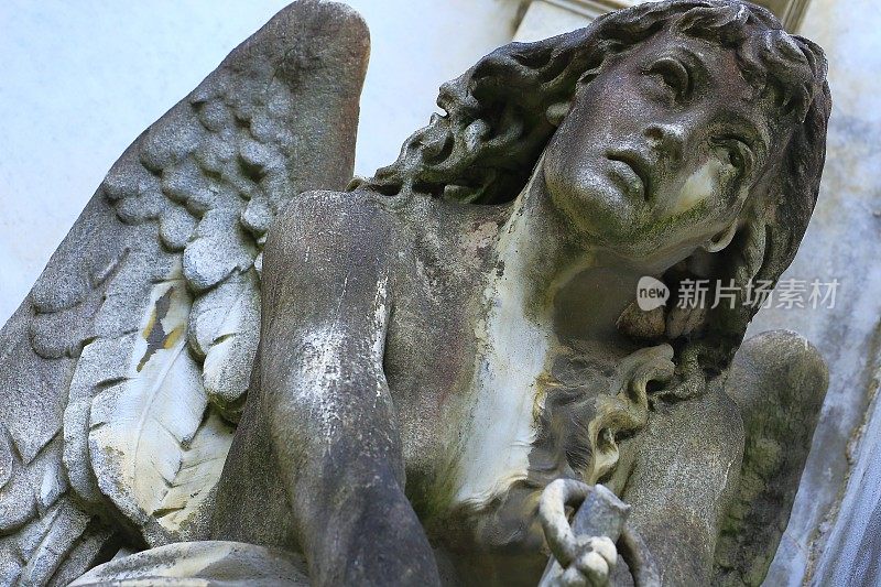 年轻悲伤的天使望着天空，雷克莱塔公墓，布宜诺斯艾利斯