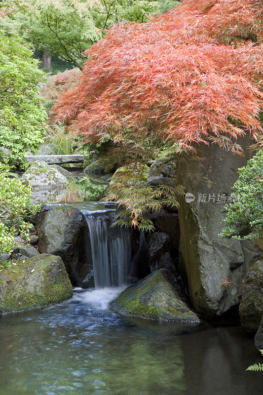 秋天的日本花园