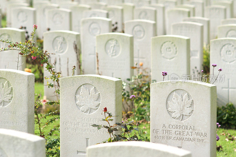无名加拿大士兵的战争坟墓