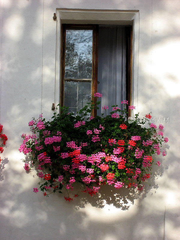 窗台上的花盆箱