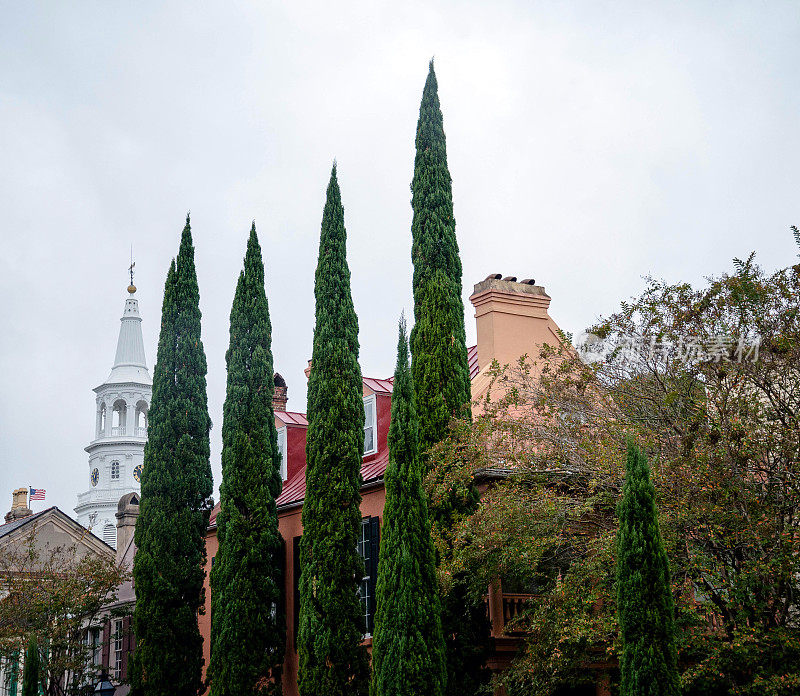 南卡罗来纳州查尔斯顿的教堂塔和常青树