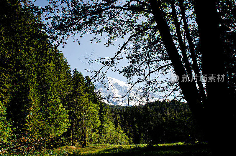 雷尼尔山