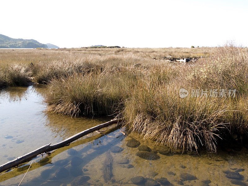 亚伯塔斯曼湿地