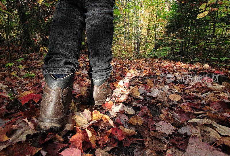 徒步者的靴子穿过落叶覆盖的小径