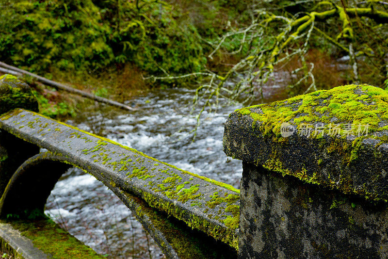 铺满青苔的石栏横在流淌的河流上