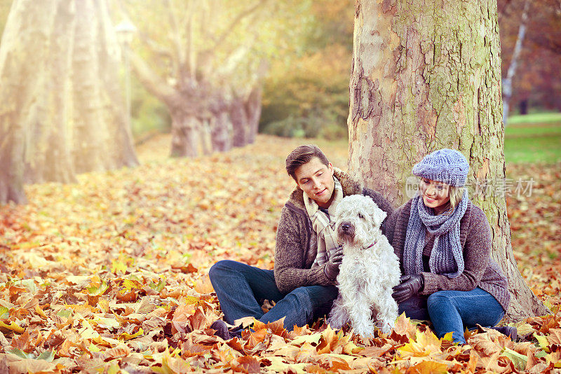一对年轻夫妇和他们的狗在公园里放松