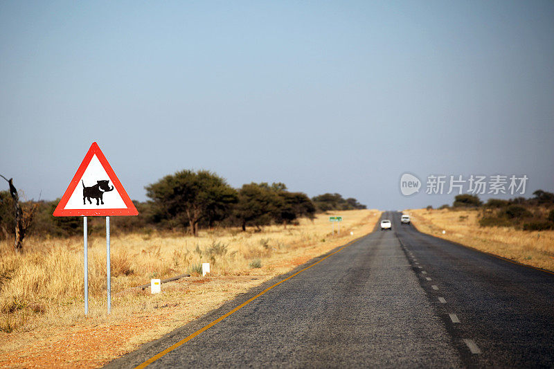 纳米比亚公路旁的疣猪路标