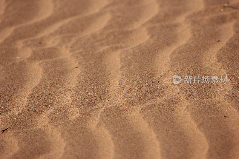 纳米比亚:沙中的涟漪――纳米比亚沙漠