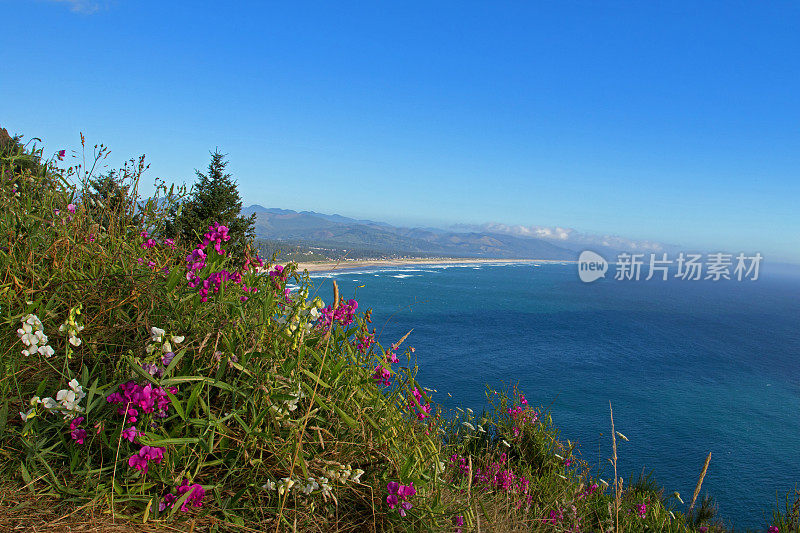 华盛顿的海岸线