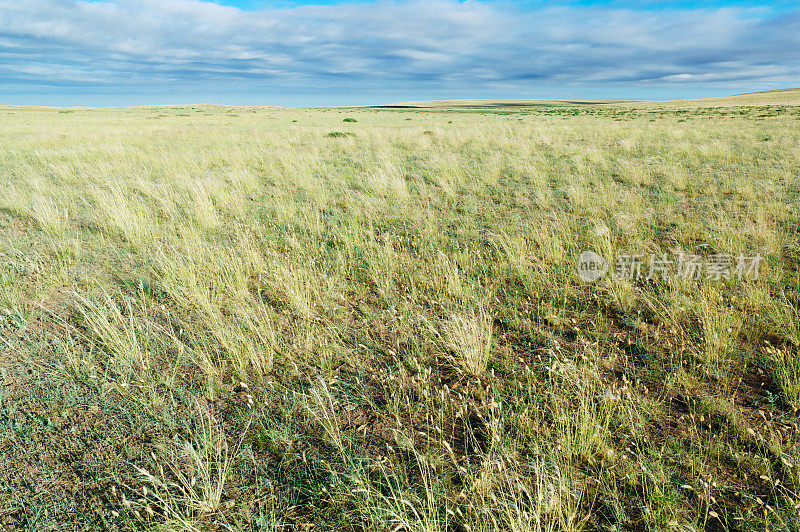 景观在蒙古