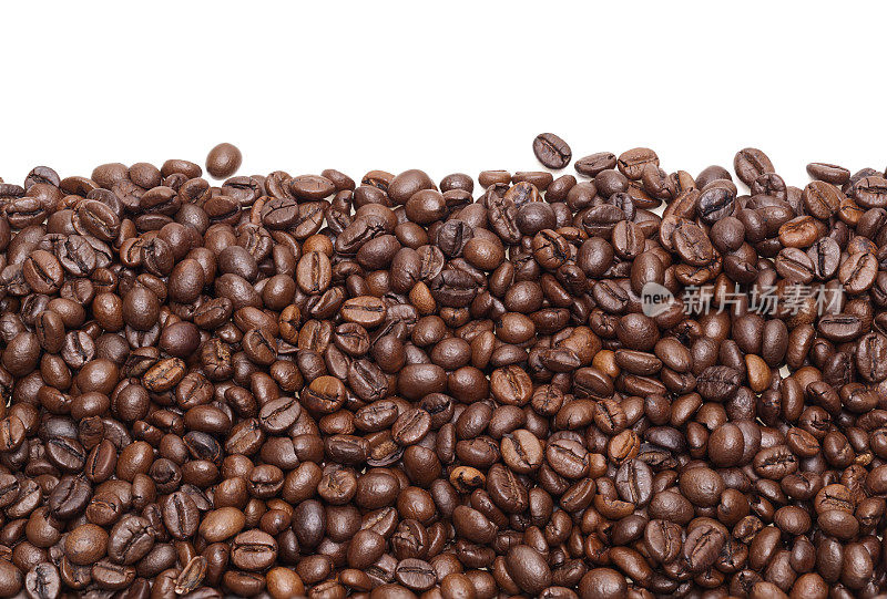 咖啡豆白框线