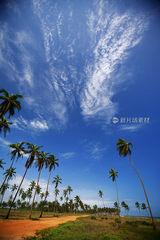 非洲海滩路