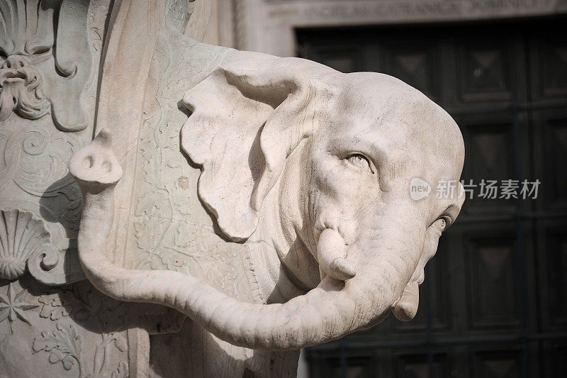 密涅瓦广场，意大利罗马。宏观的大理石大象雕像